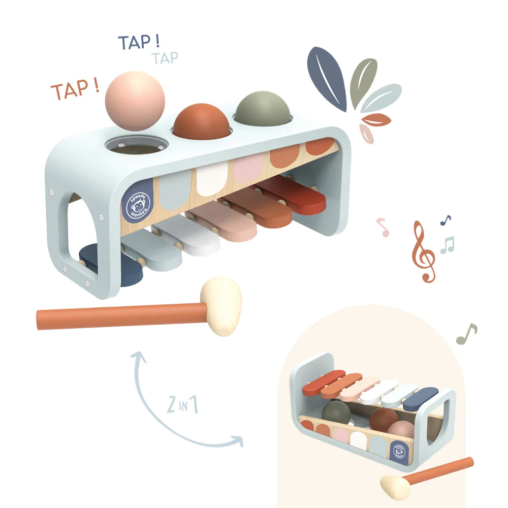 Xylo 2-in-1 Toy