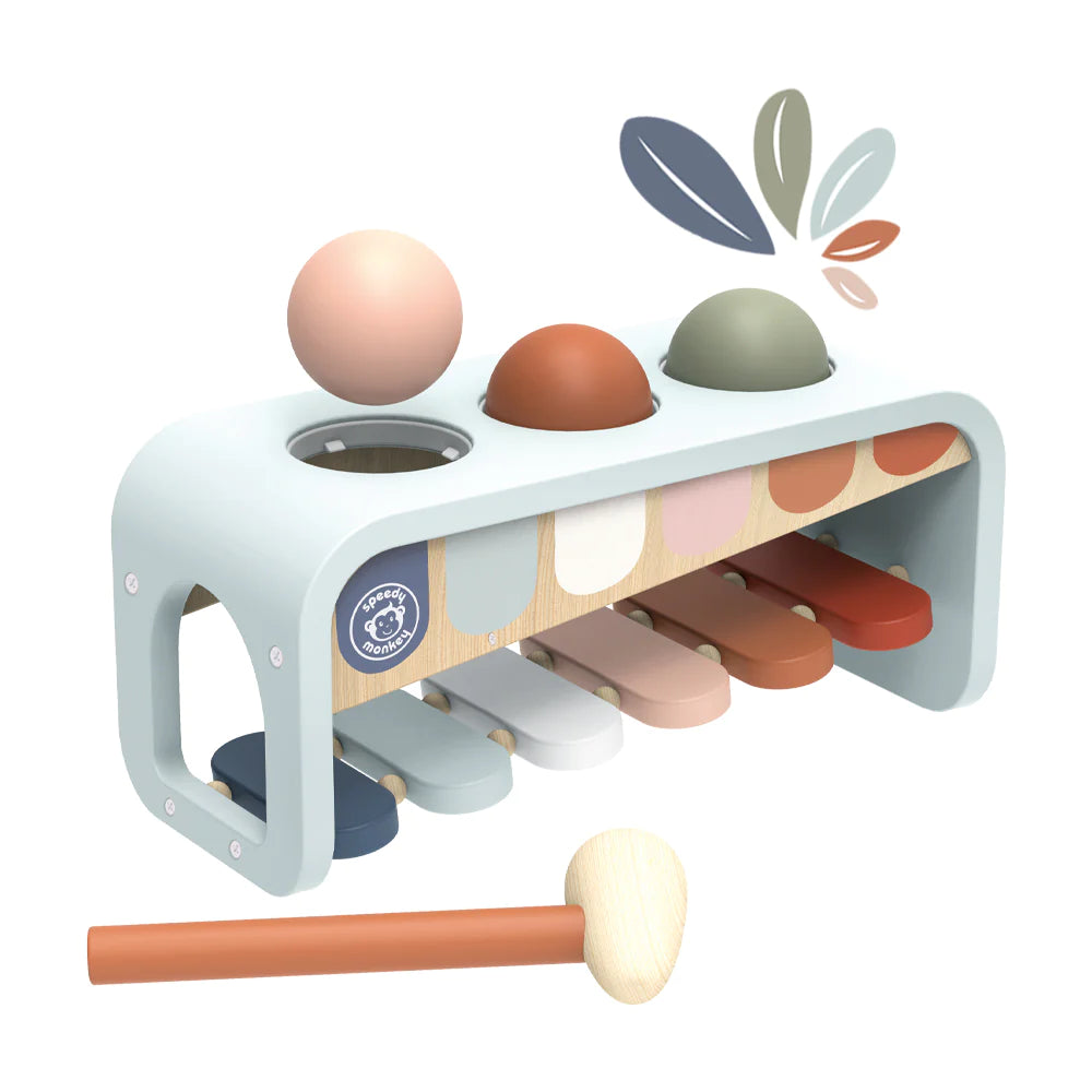 Xylo 2-in-1 Toy