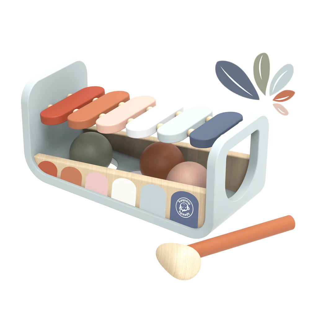 Xylo 2-in-1 Toy