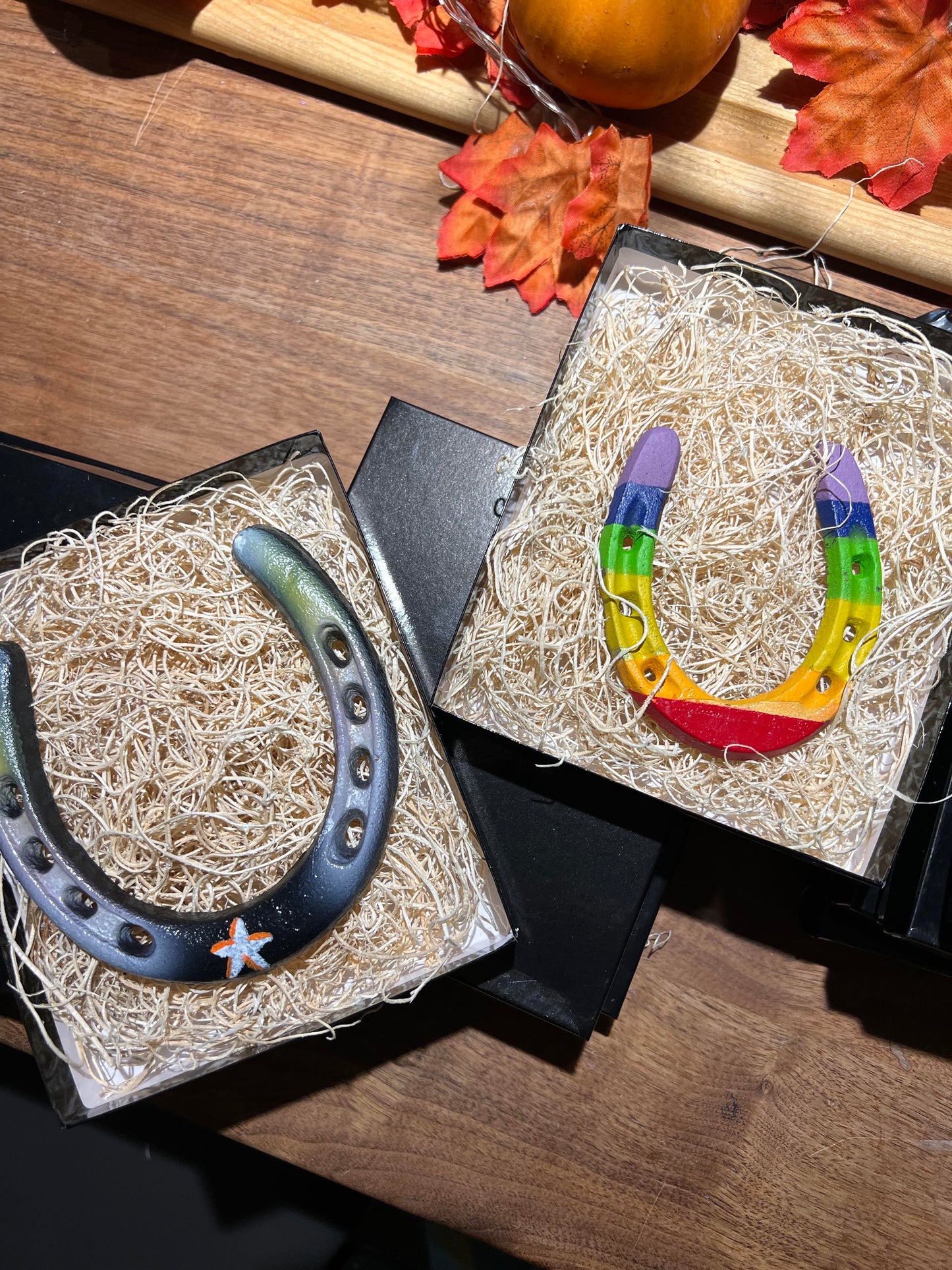 Lucky Horseshoes - Hand painted